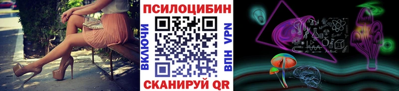 Купить где  Пионерский  Галлюциногенные грибы GOLDEN TEACHER 